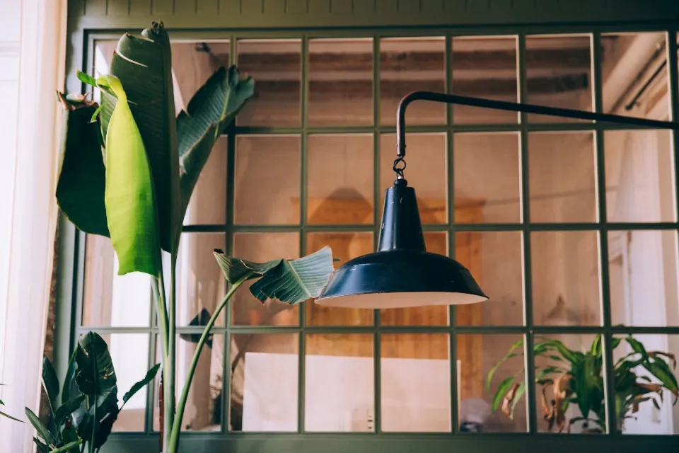 Rincón de trabajo con plantas y luz natural
